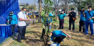 HARHUBNAS 2020, OP Tanjung Perak Inisiasi Padat Karya Penghijauan