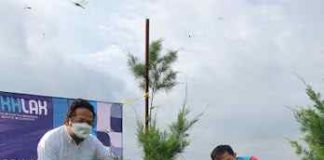 Hindari Abrasi, Teluk Lamong Tanam Ratusan Cemara Laut