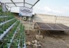 CSR, TTL Berihkan Automatic Watering Solar System