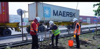 Konversi Limbah Jadi Oksigen, TPS Tanam Tabebuya