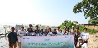 Jaga Kelestarian Lingkungan, Pelindo Sulam Tanam 20.000 Bibit Mangrove