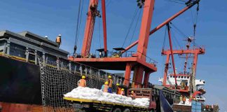 KSOP Probolinggo Tak Beri Izin Bongkar Muat, PBM DABN Probolinggo Ngotot Berkegiatan