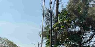 Wujudkan Pelabuhan Aman Dan Nyaman, Pelindo Regional 3 Subreg jawa Tertibkan PKL