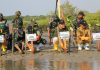 Lindungi Pesisir Dari Abrasi, Pelindo Regional 3 Tanam Ribuan Mangrove Di Bangkalan