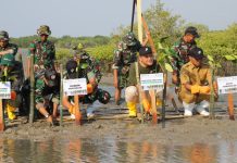 Lindungi Pesisir Dari Abrasi, Pelindo Regional 3 Tanam Ribuan Mangrove Di Bangkalan