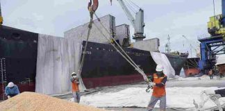 Pelindo Multi Terminal Branch Jamrud Wujudkan Ekspor Jagung Perdana ke Vietnam